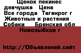 Щенок пекинес девчушка › Цена ­ 2 500 - Все города, Таганрог г. Животные и растения » Собаки   . Брянская обл.,Новозыбков г.